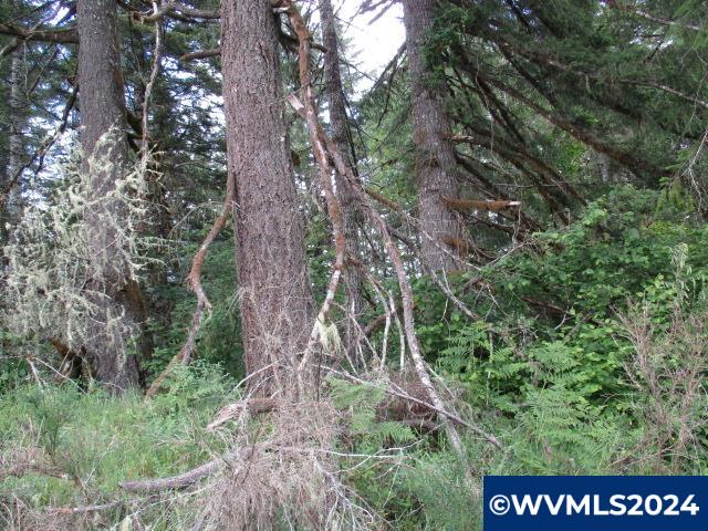 0 Northwest Fairdale Road Yamhill, OR 97148 - Photo 11 of 27