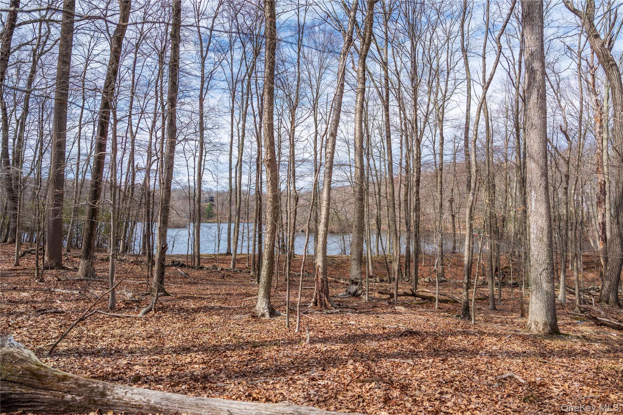 32 Joshua Hobby Lane Pound Ridge, NY 10576 - Photo 15 of 19 a backyard of a house with lots of trees