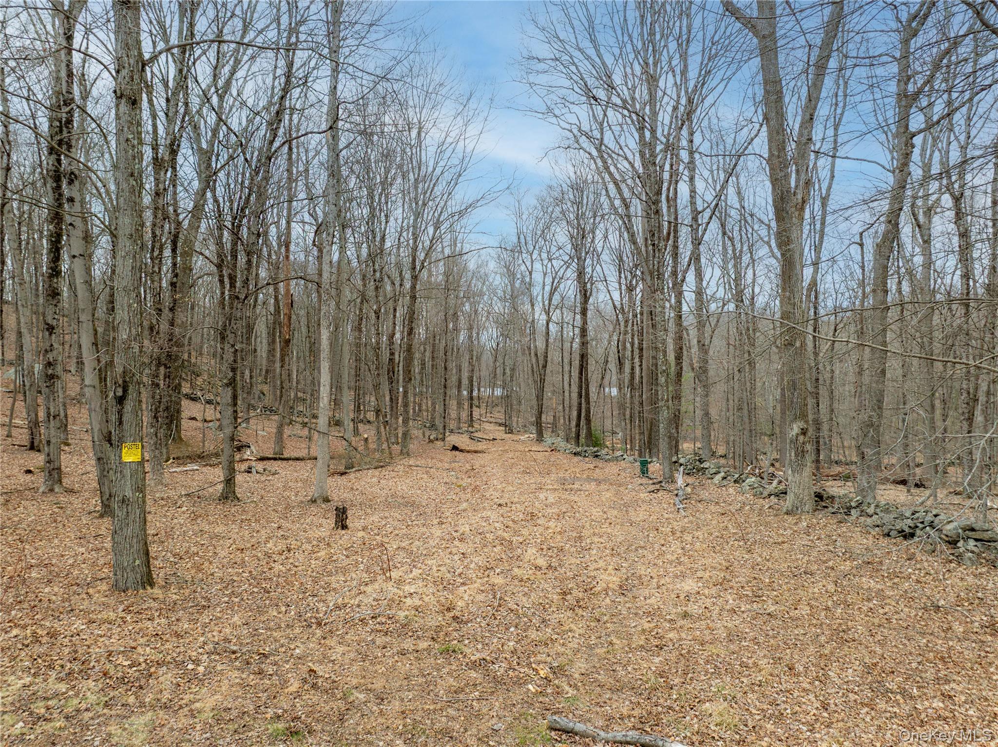 32 Joshua Hobby Lane Pound Ridge, NY 10576 - Photo 2 of 19 a backyard of a house with trees