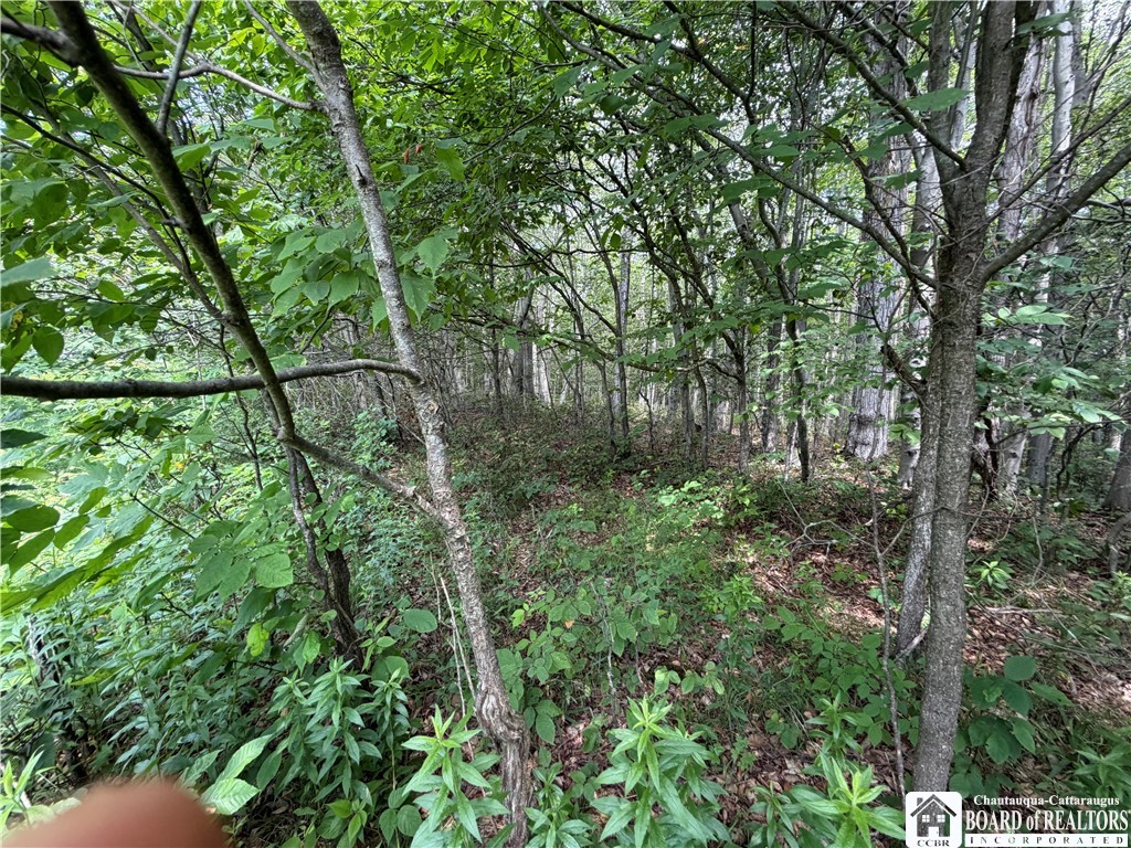 2751 Canfield Road Cohocton, NY 14826 - Photo 24 of 50
