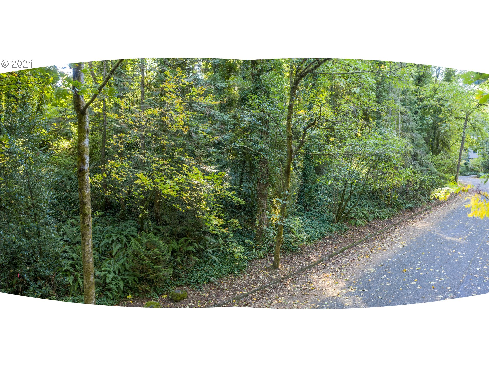 Southwest Nottingham Drive Portland, OR 97201 - Photo 2 of 11