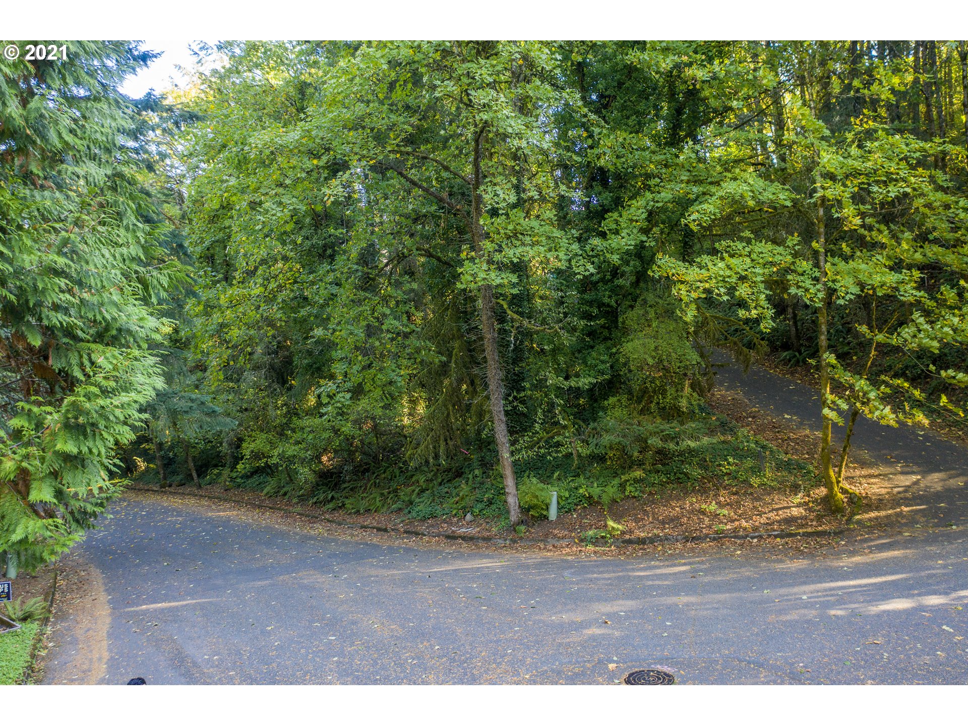 Southwest Nottingham Drive Portland, OR 97201 - Photo 11 of 11