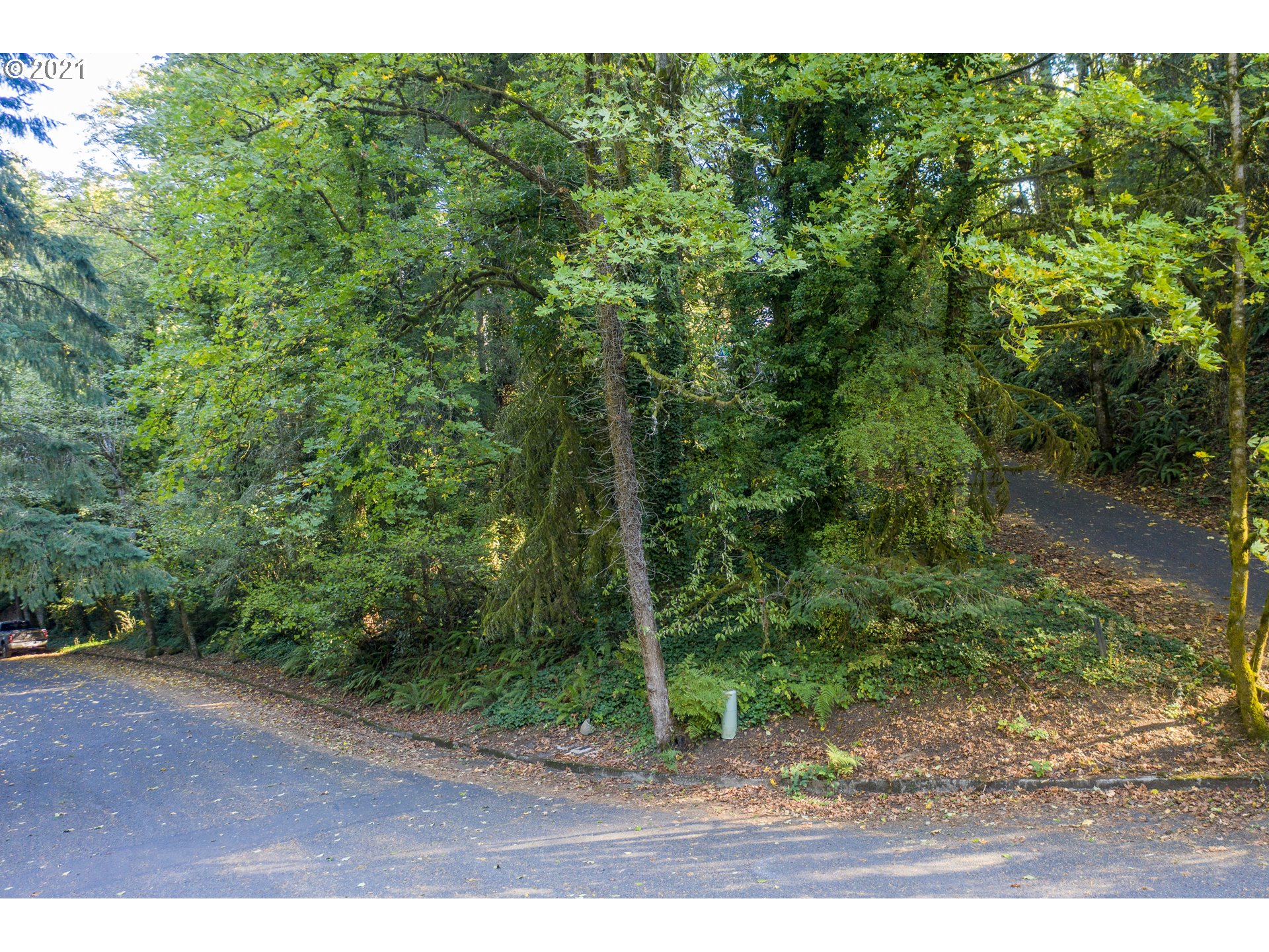 Southwest Nottingham Drive Portland, OR 97201 - Photo 4 of 11