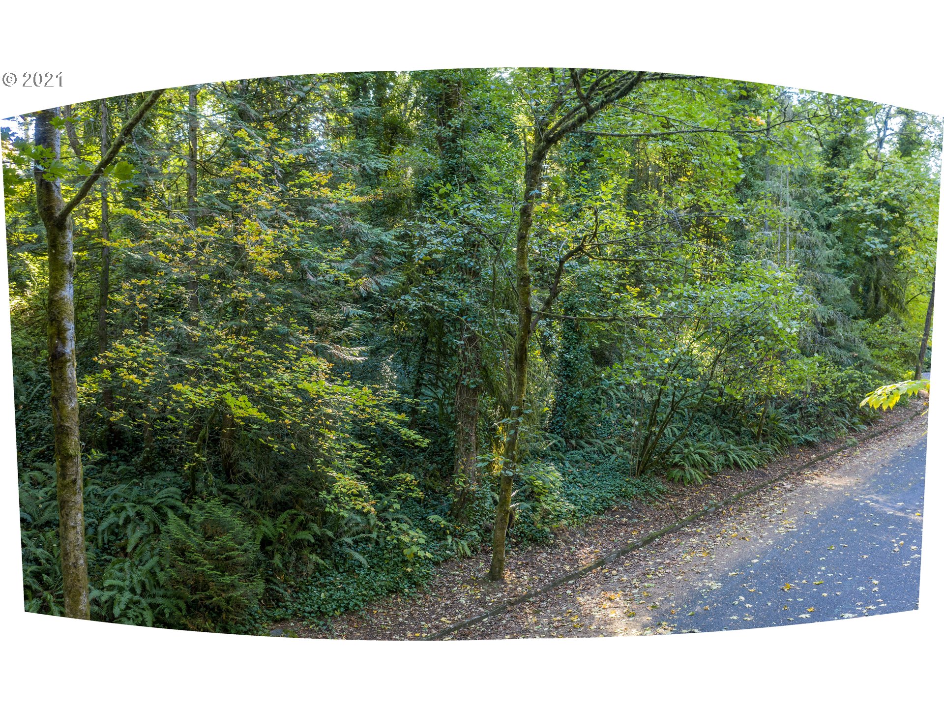 Southwest Nottingham Drive Portland, OR 97201 - Photo 6 of 11