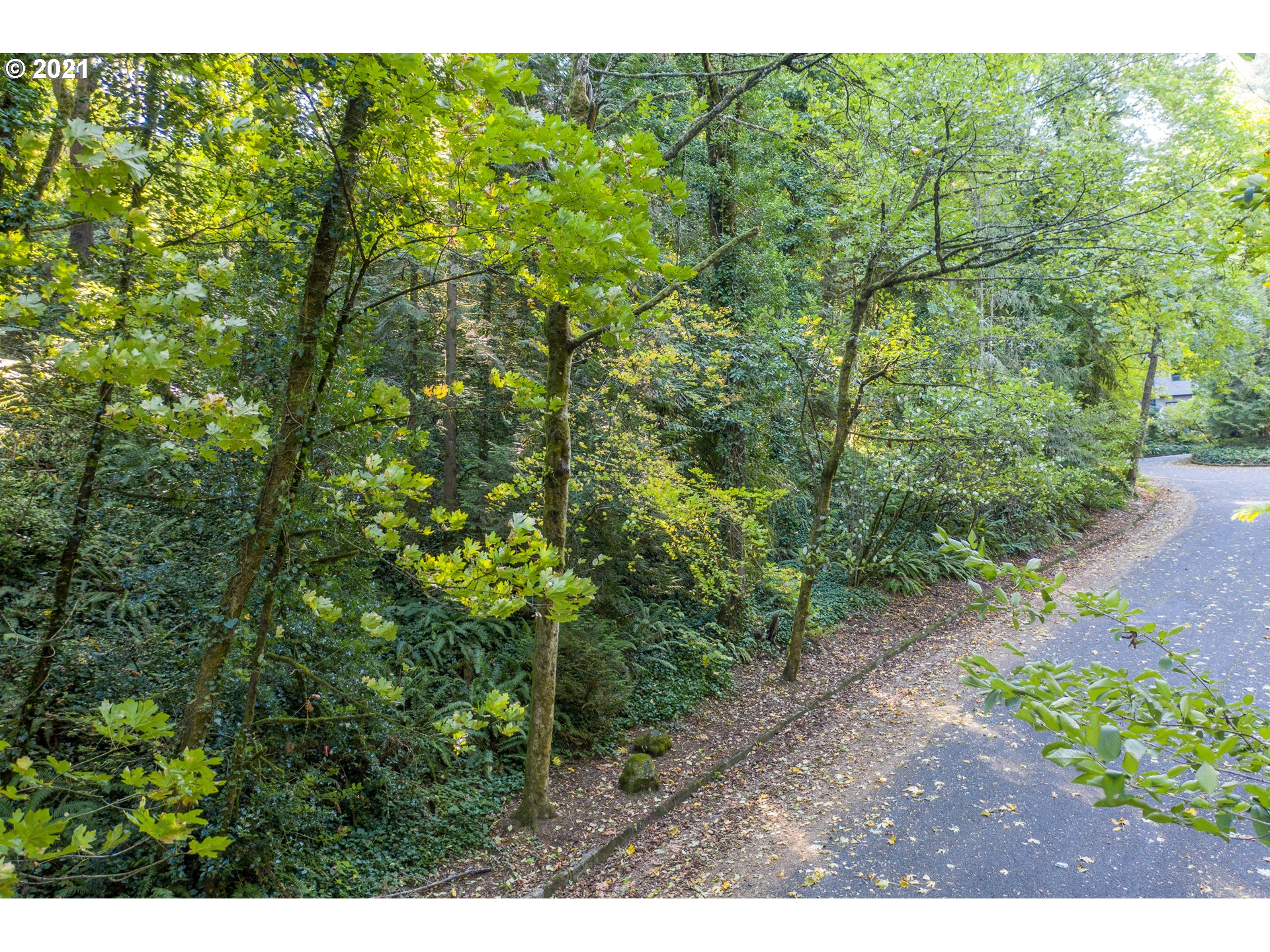 Southwest Nottingham Drive Portland, OR 97201 - Photo 10 of 11