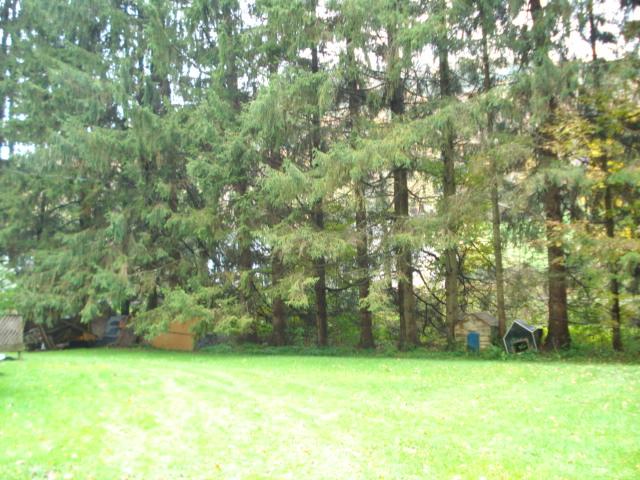 520 South State Road Lanesborough, MA 01237 - Photo 10 of 12 Yard