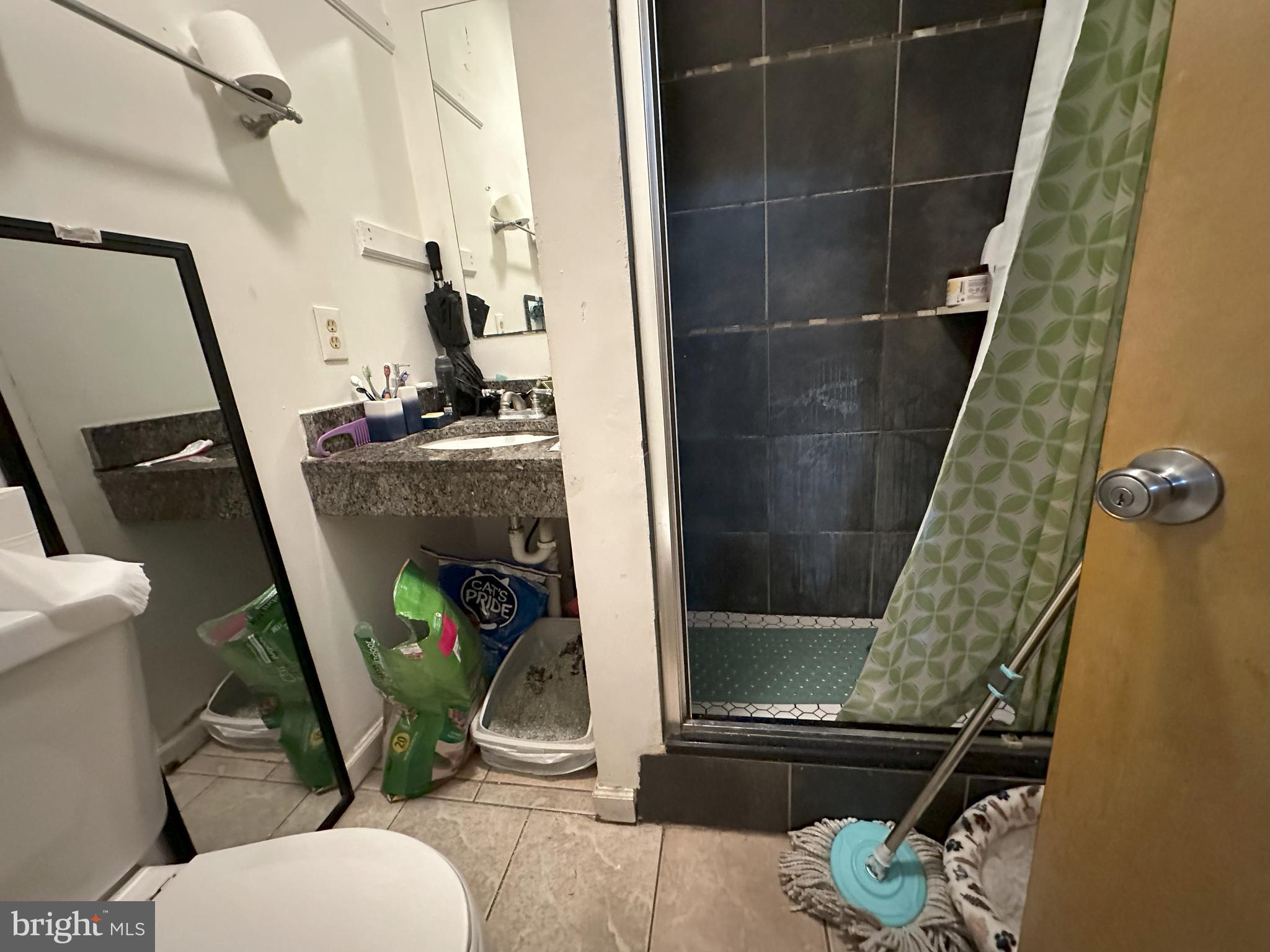2014 South 7th Street Philadelphia, PA 19148 - Photo 8 of 23 a bathroom with a sink and toilet