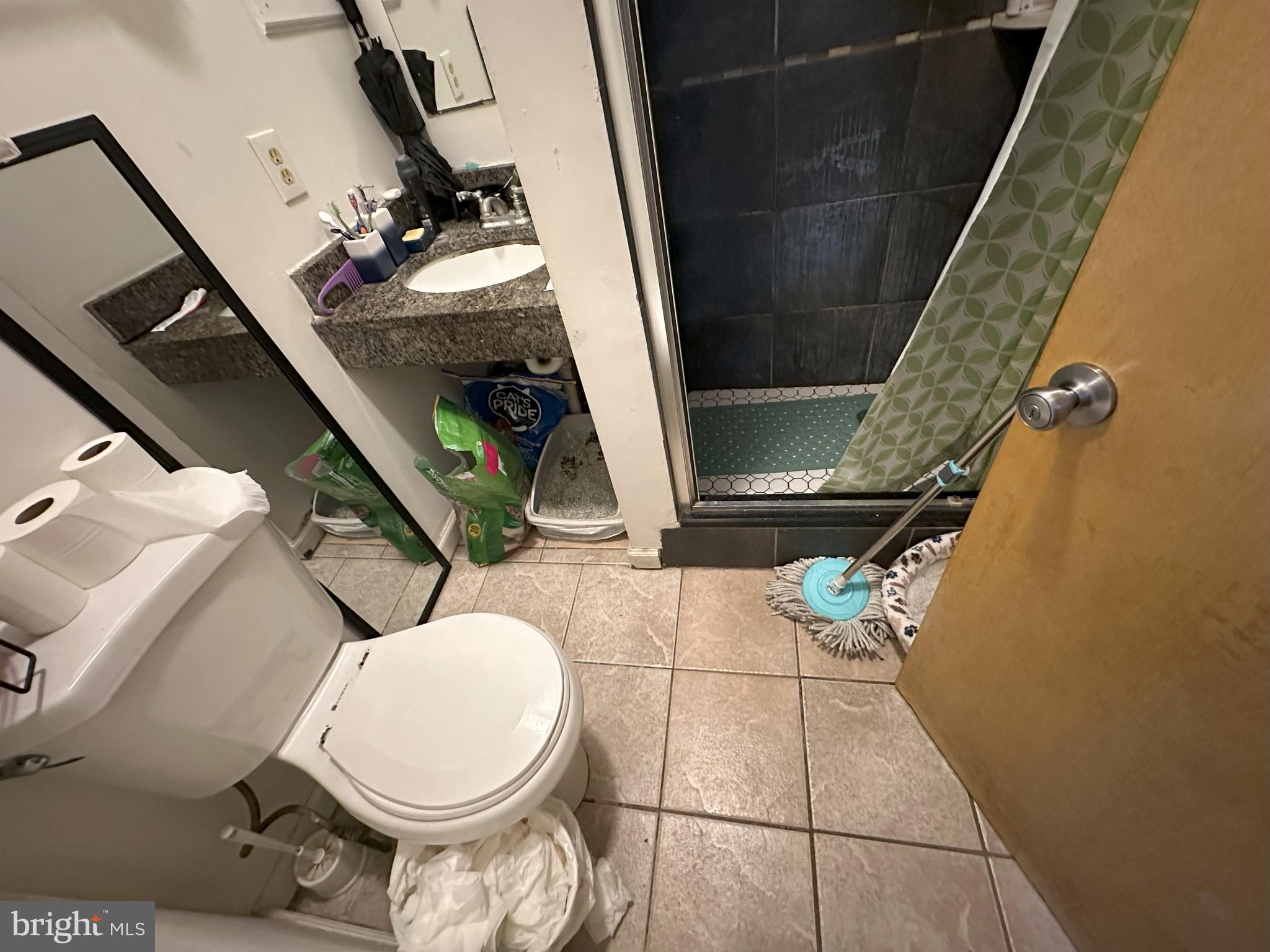 2014 South 7th Street Philadelphia, PA 19148 - Photo 9 of 23 a bathroom with a toilet and a mirror