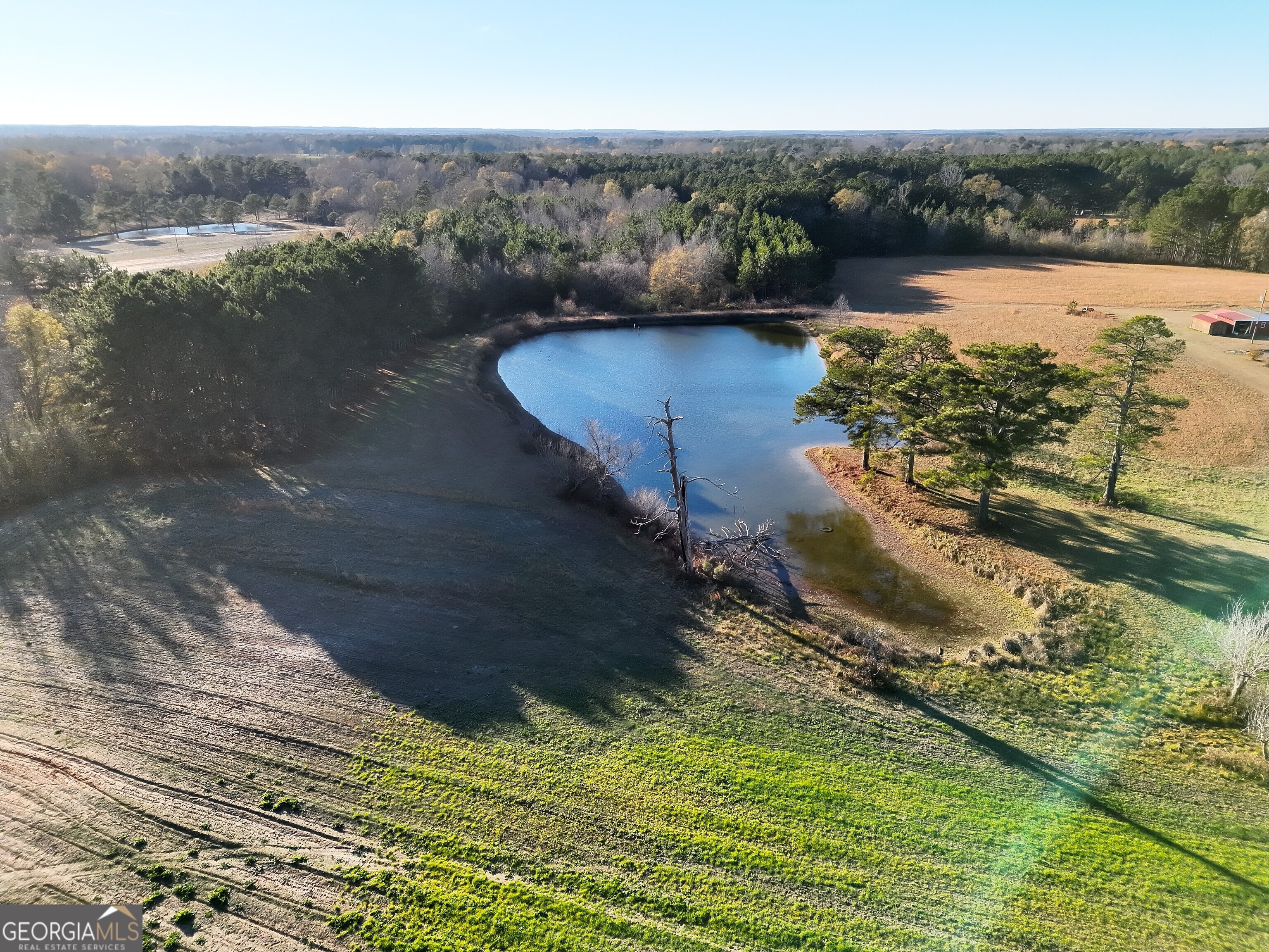 8365 Mt Carmel Road Senoia, GA 30276 - Photo 11 of 15 a view of lake
