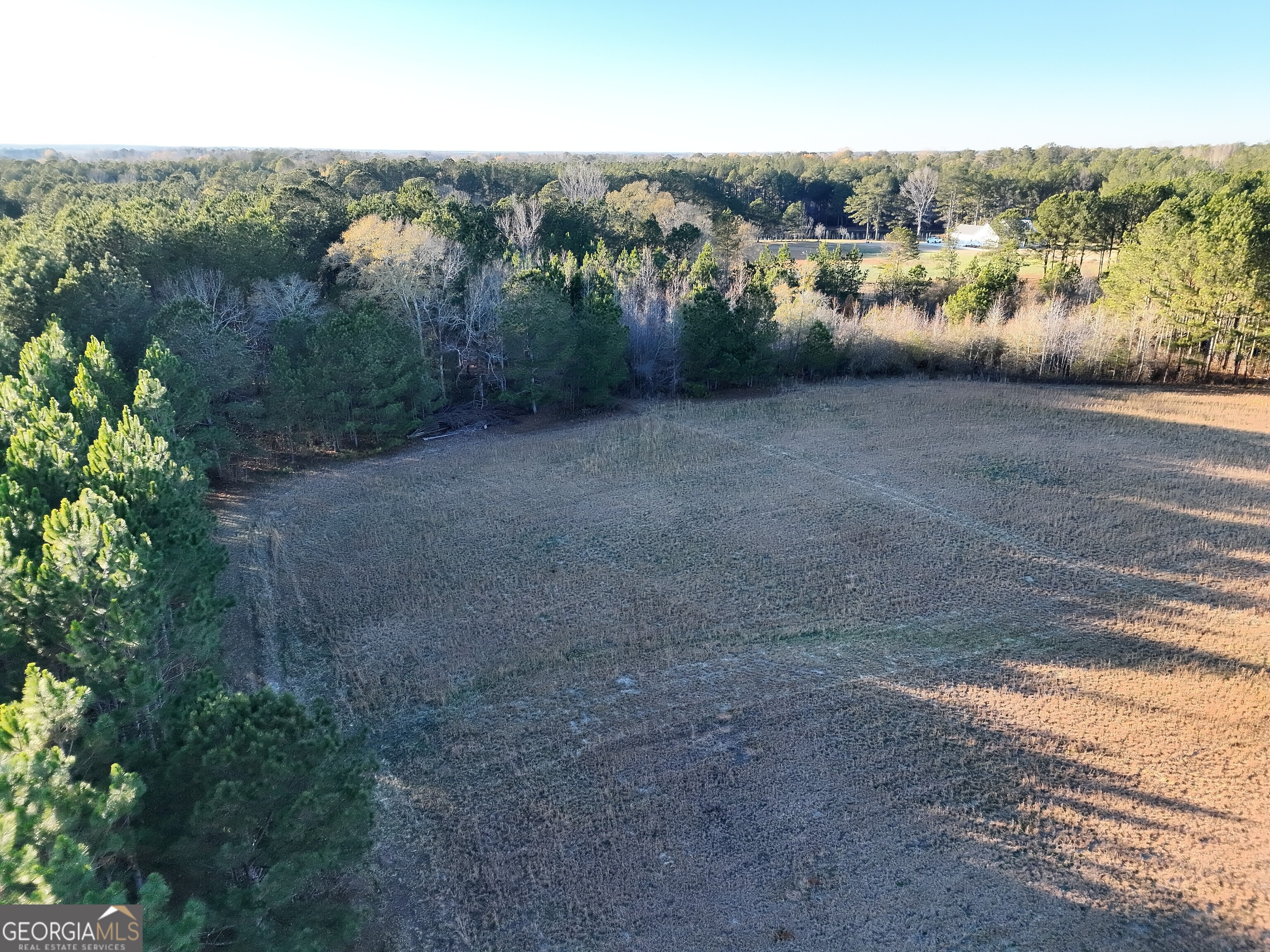 8365 Mt Carmel Road Senoia, GA 30276 - Photo 12 of 15 a view of a town with big trees