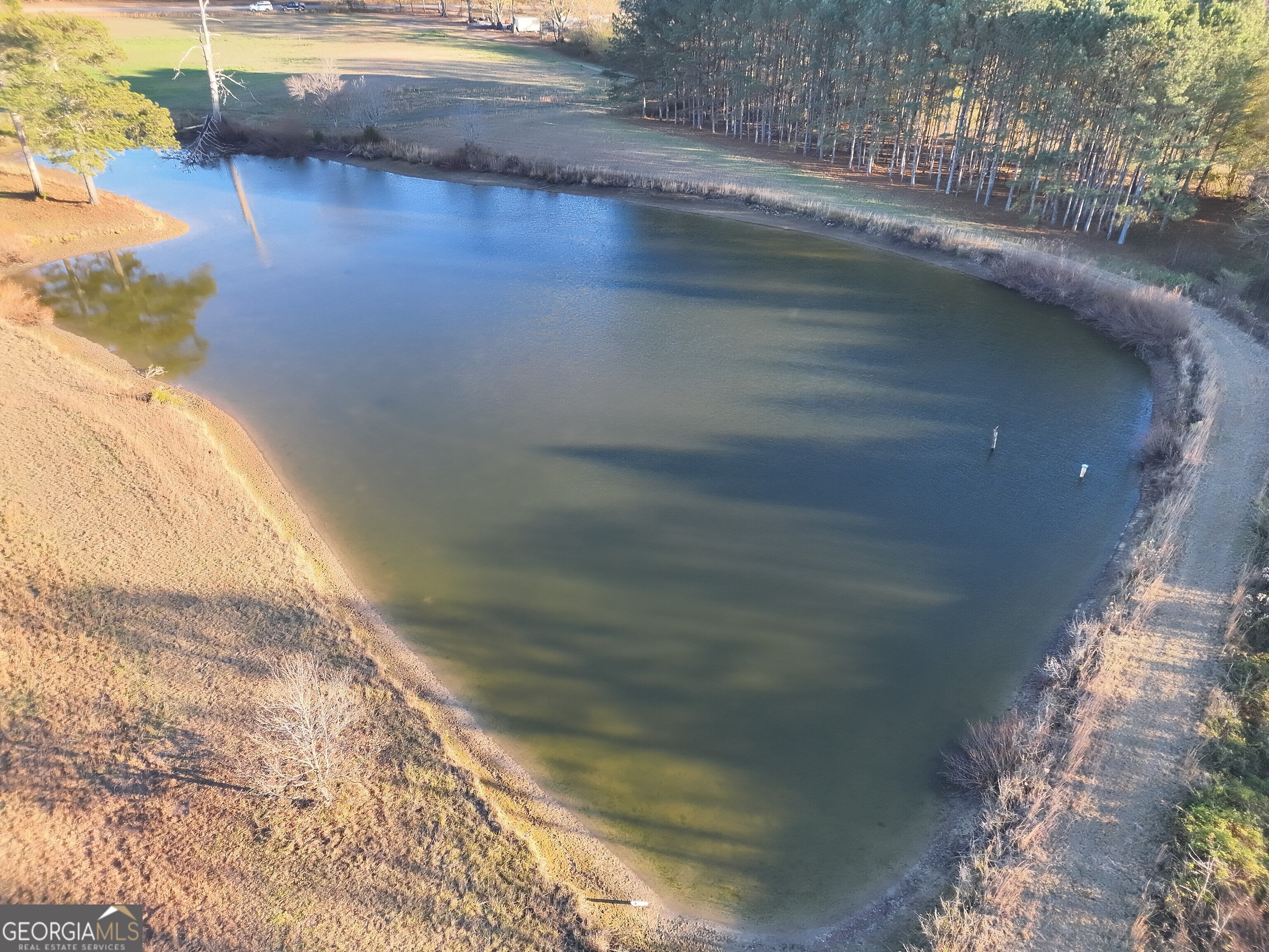 8365 Mt Carmel Road Senoia, GA 30276 - Photo 13 of 15 a view of a lake from a balcony