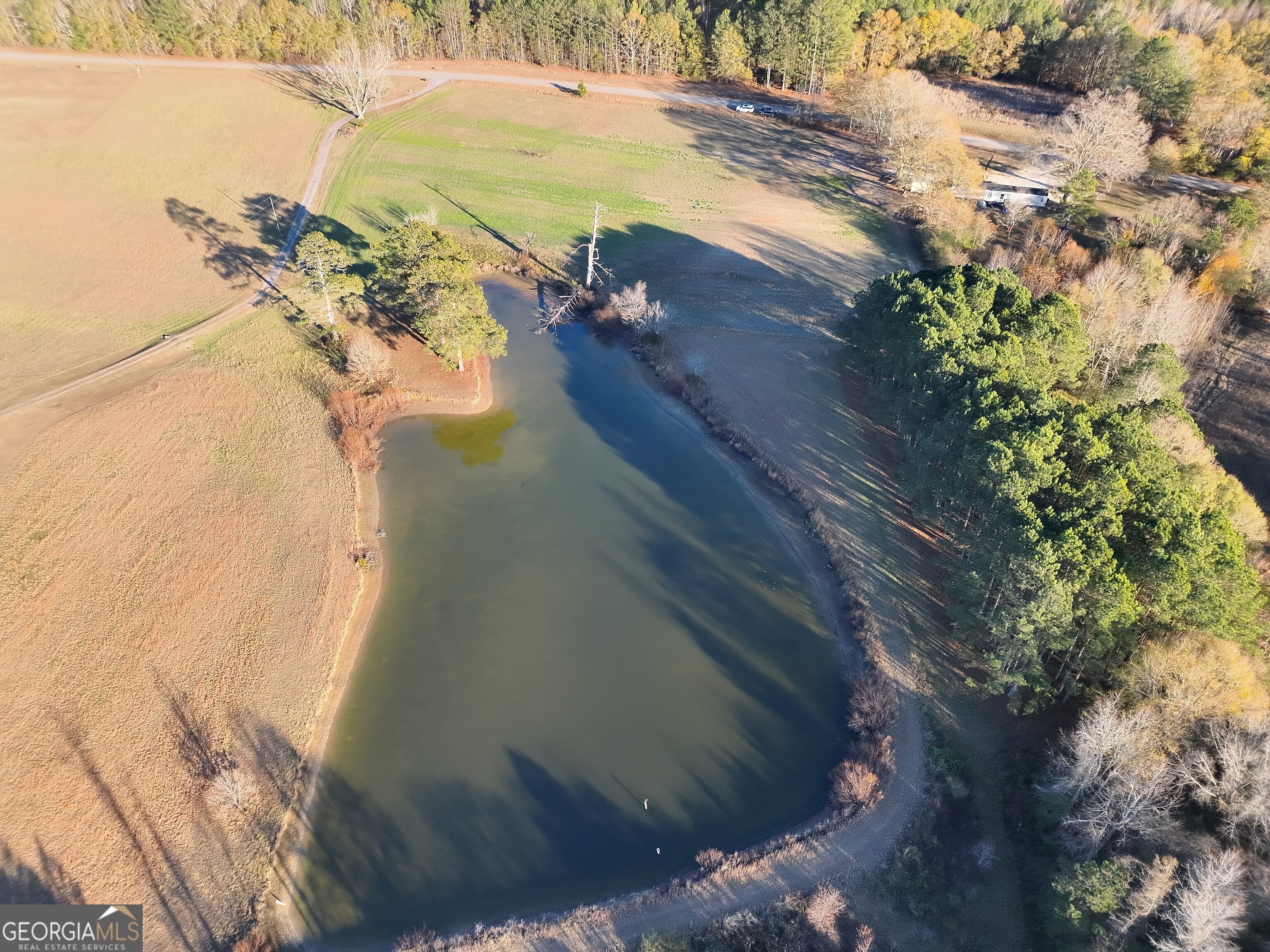8365 Mt Carmel Road Senoia, GA 30276 - Photo 14 of 15 a view of ocean view