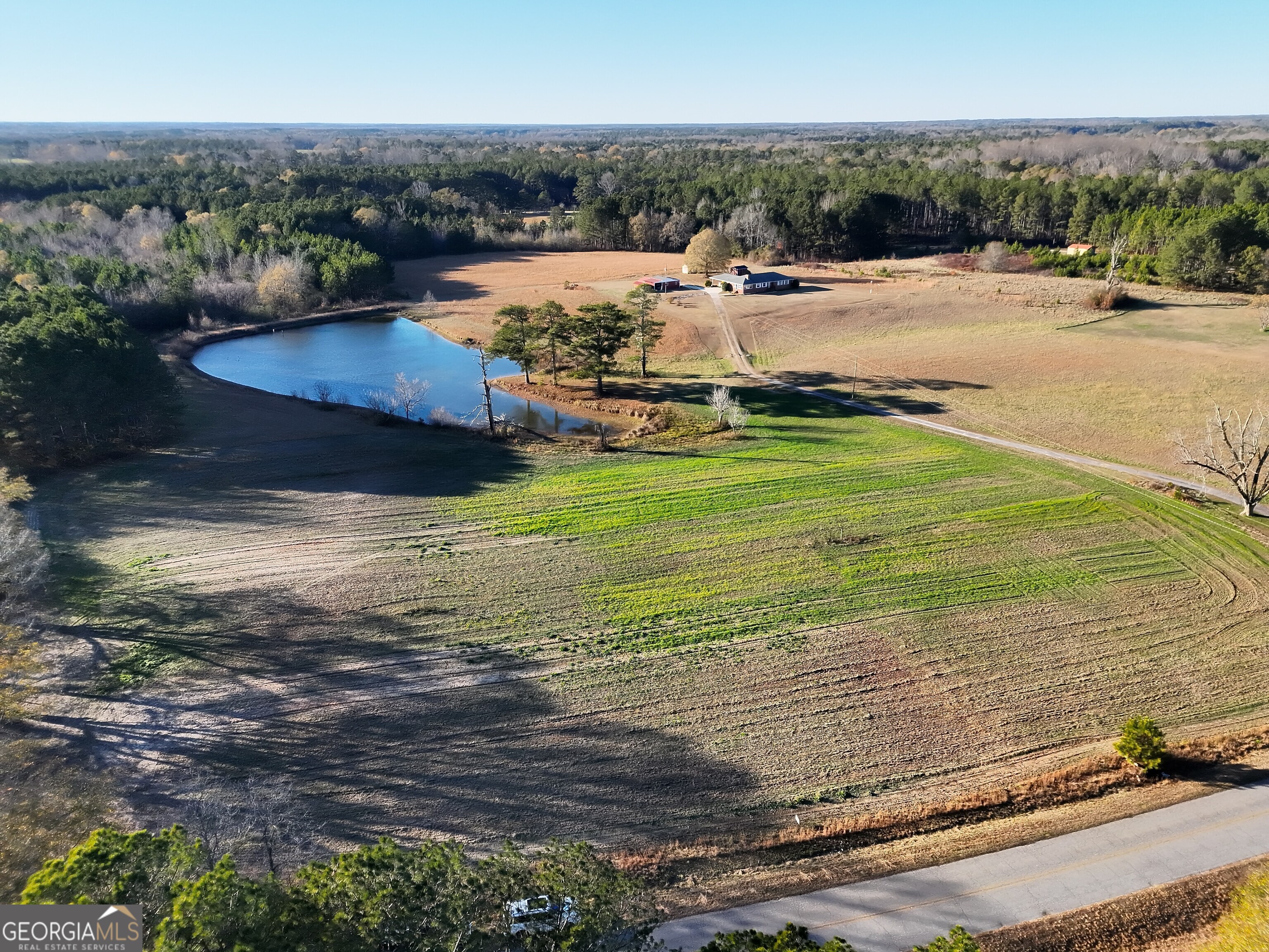 8365 Mt Carmel Road Senoia, GA 30276 - Photo 6 of 15 a view of a swimming pool with an ocean view