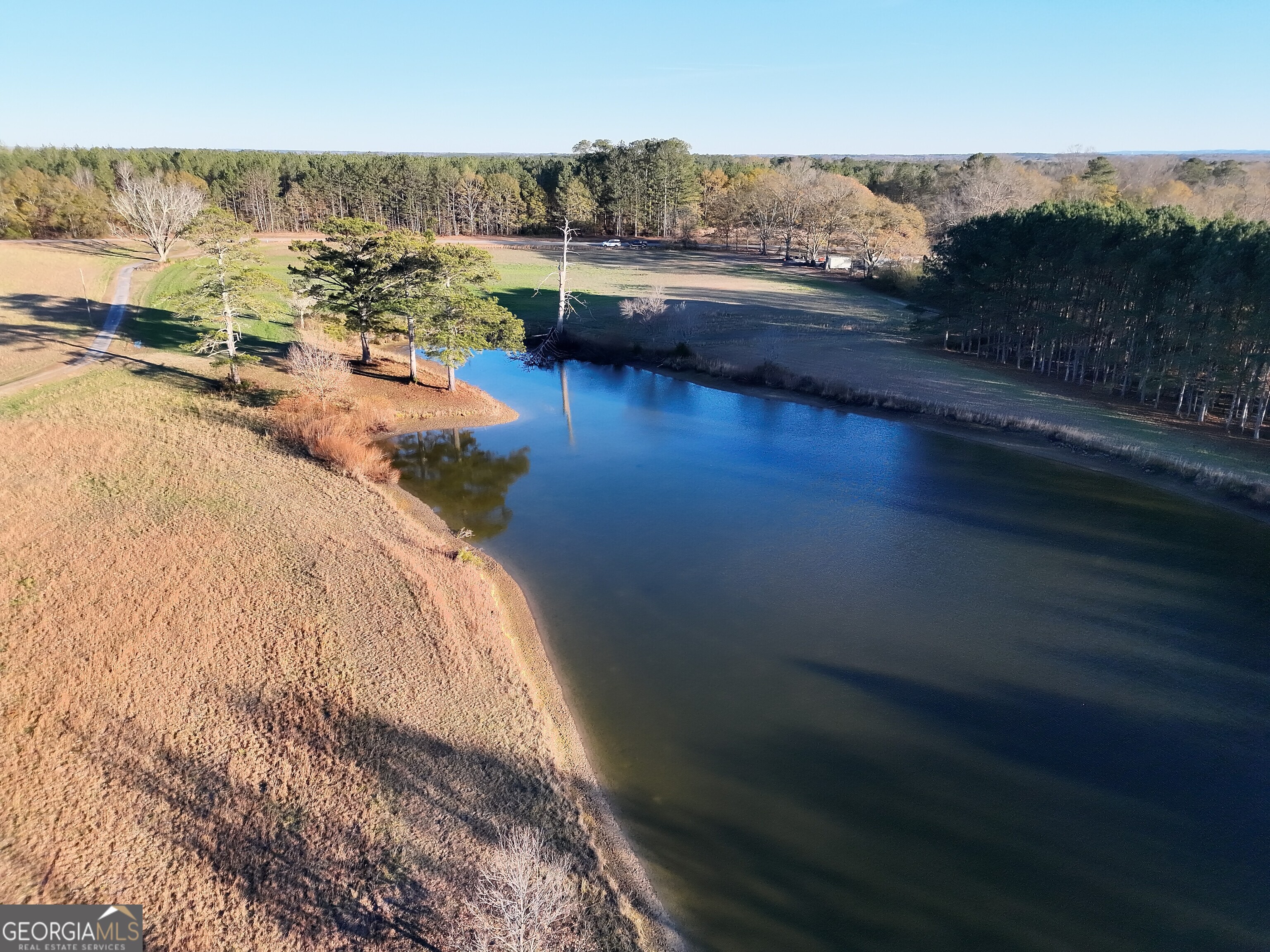 8365 Mt Carmel Road Senoia, GA 30276 - Photo 8 of 15 a view of a lake view