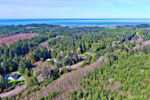 a view of a city with lush green forest