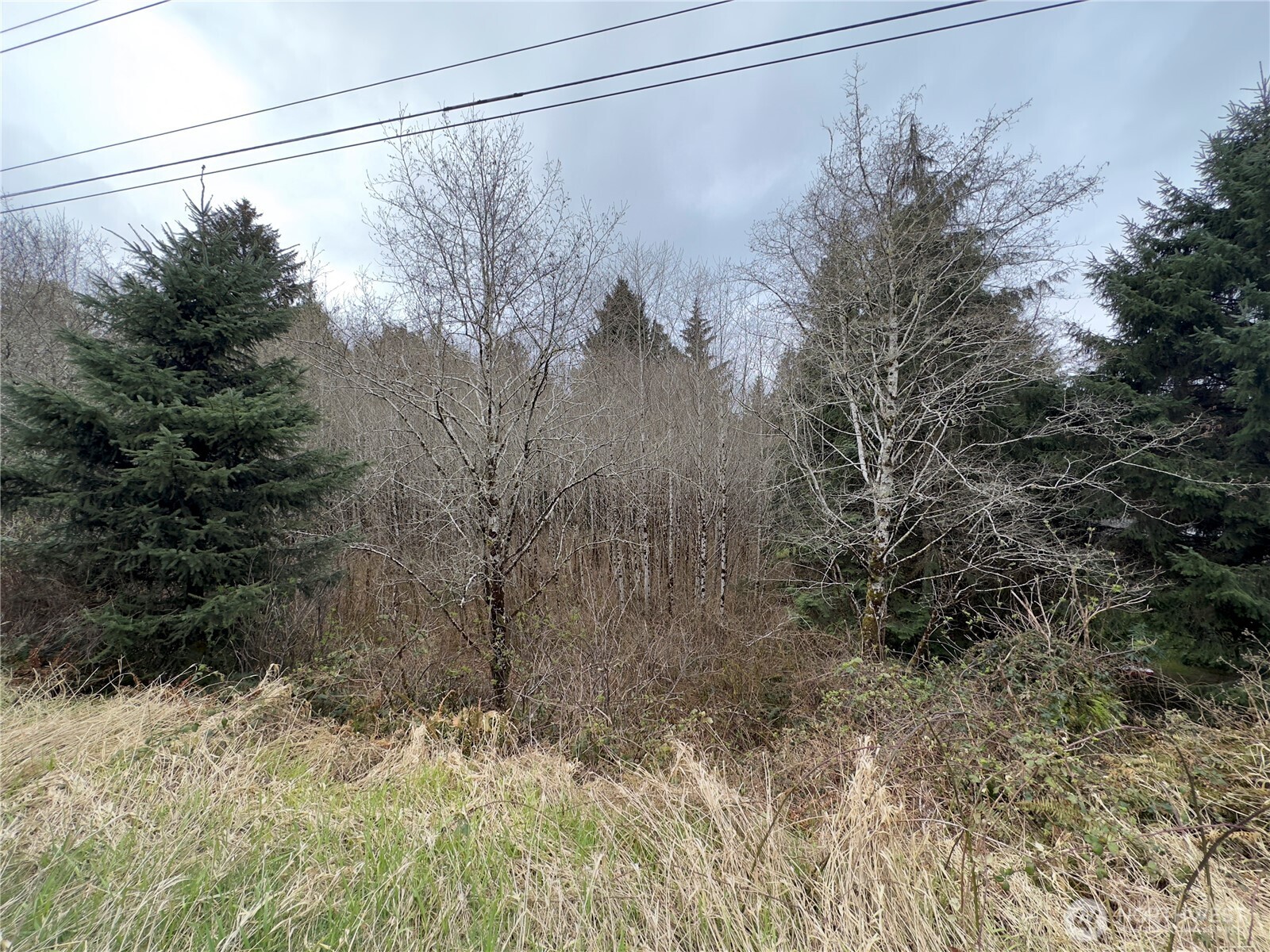 31 Ocean Beach Road Copalis Crossing, WA 98536 - Photo 16 of 30