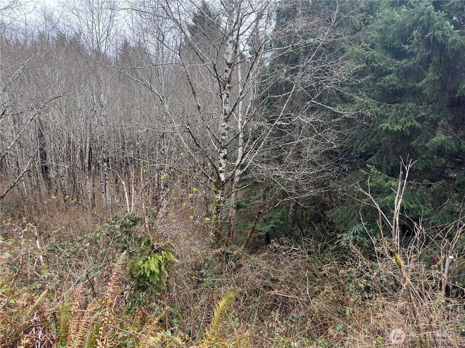 31 Ocean Beach Road Copalis Crossing, WA 98536 - Photo 18 of 30