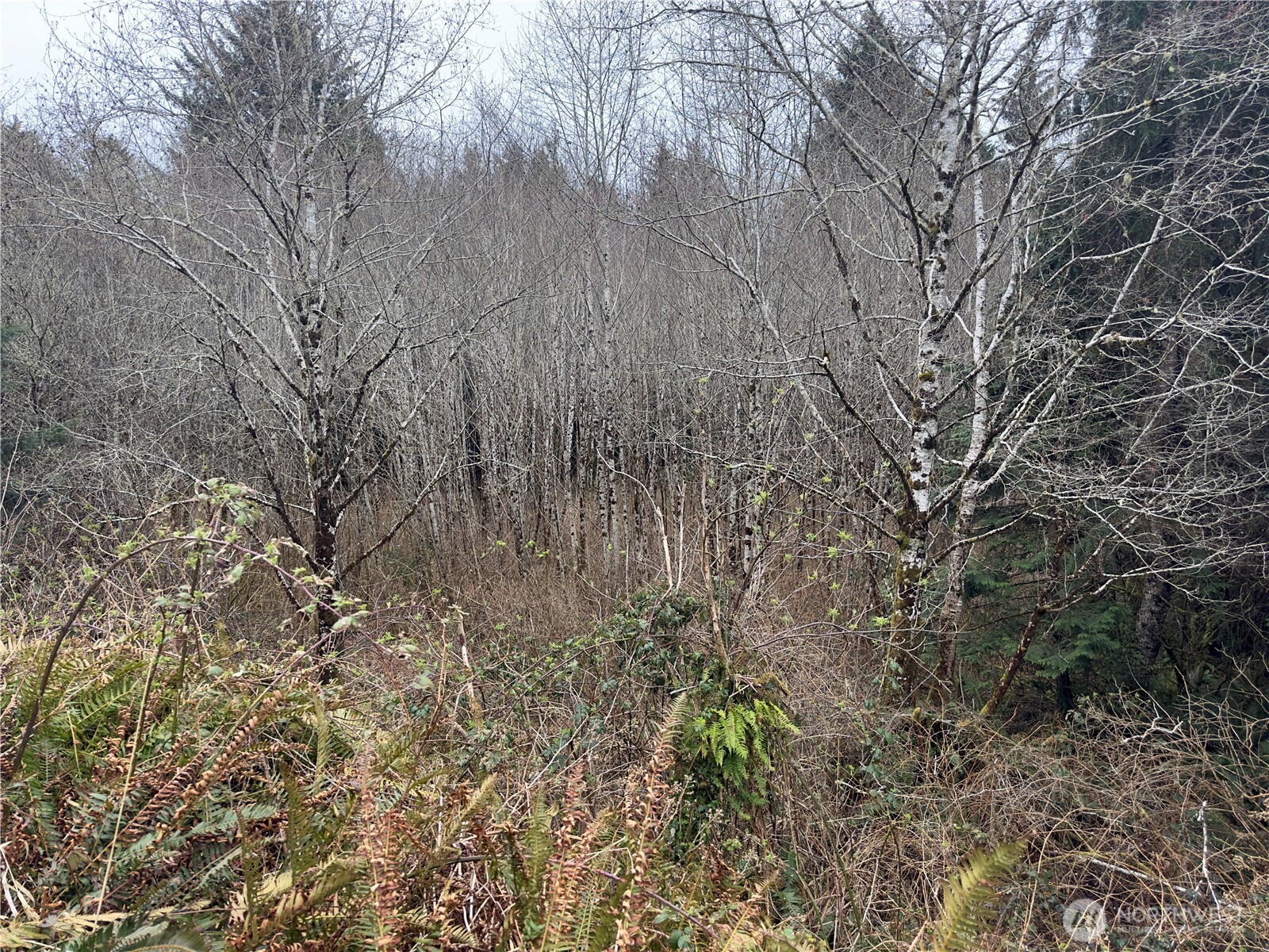 31 Ocean Beach Road Copalis Crossing, WA 98536 - Photo 19 of 30