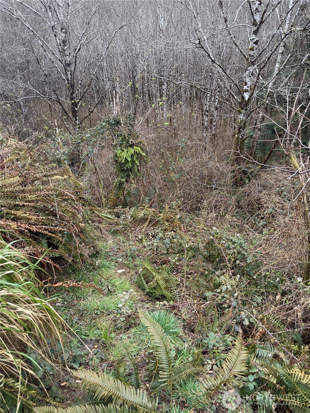 31 Ocean Beach Road Copalis Crossing, WA 98536 - Photo 20 of 30