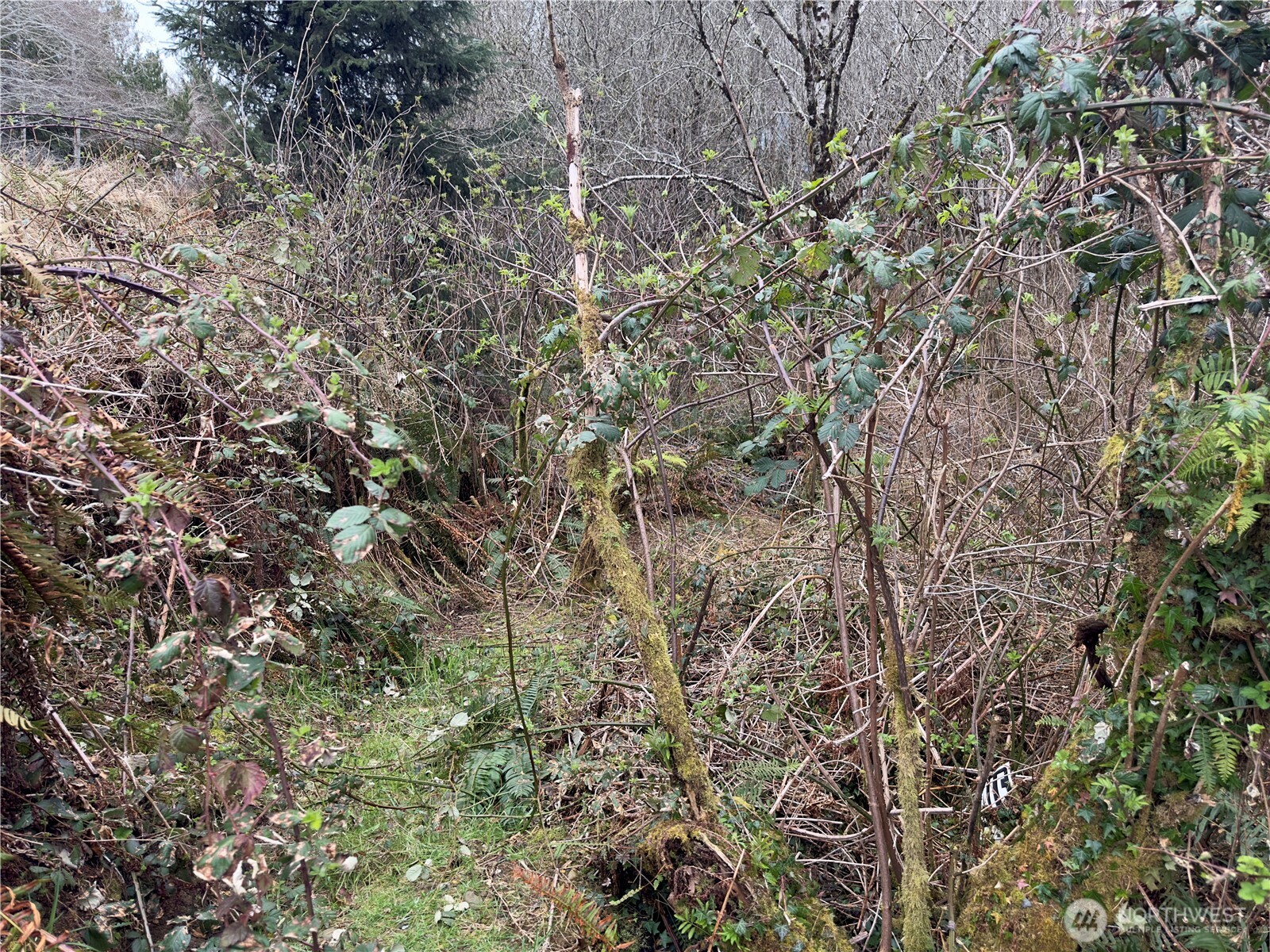 31 Ocean Beach Road Copalis Crossing, WA 98536 - Photo 21 of 30