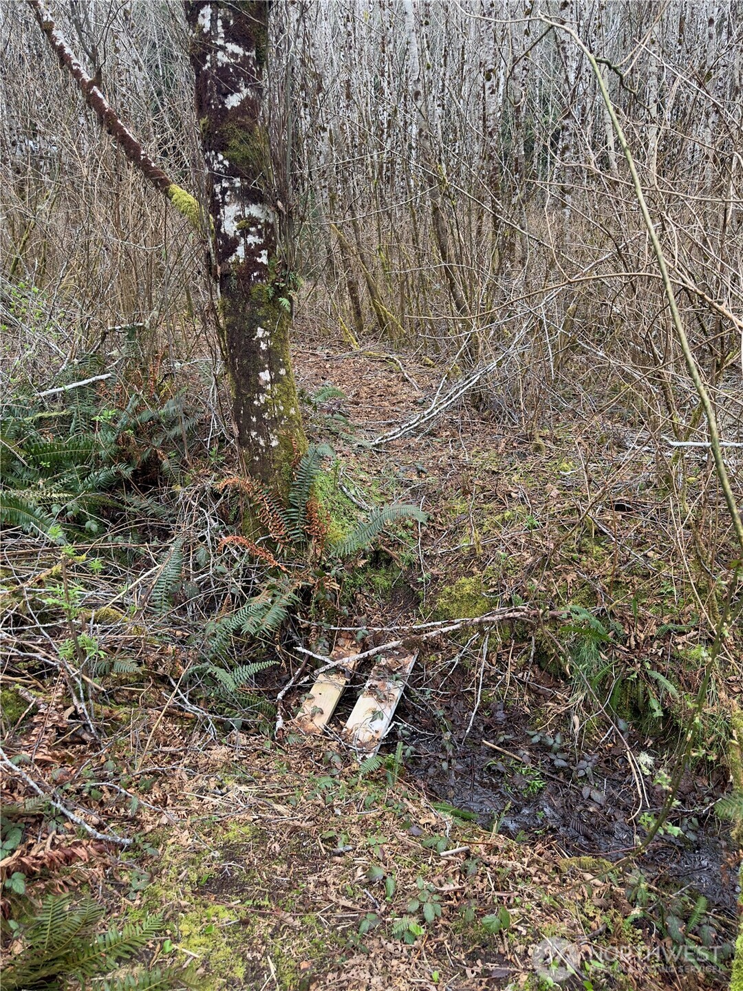 31 Ocean Beach Road Copalis Crossing, WA 98536 - Photo 22 of 30