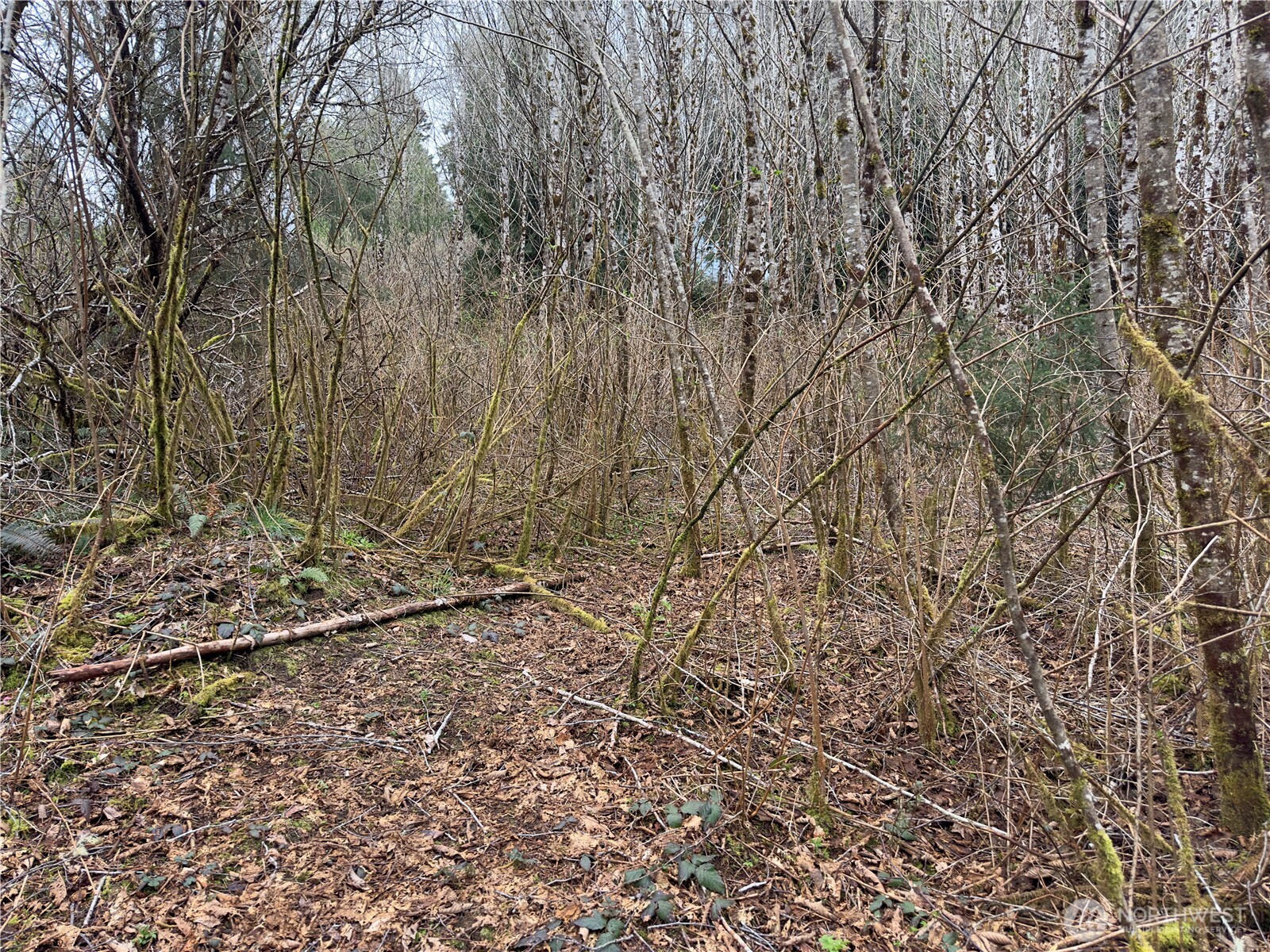 31 Ocean Beach Road Copalis Crossing, WA 98536 - Photo 24 of 30