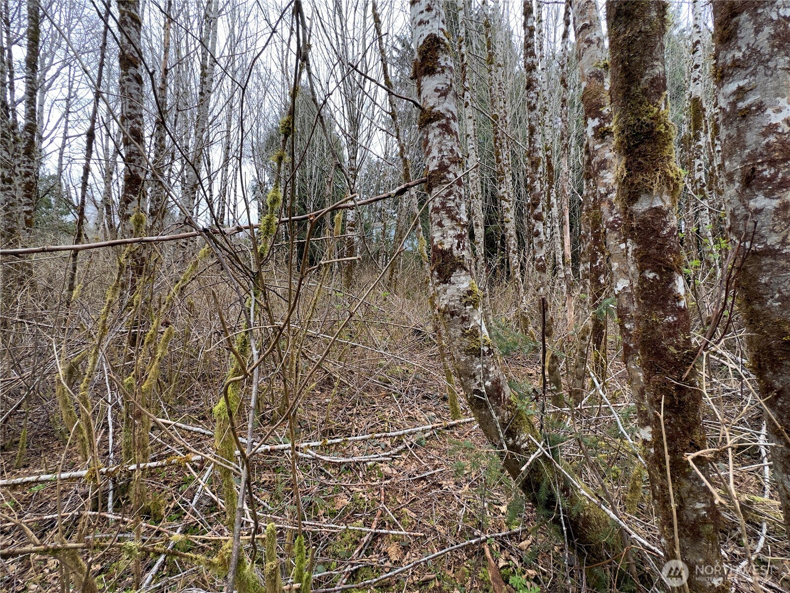 31 Ocean Beach Road Copalis Crossing, WA 98536 - Photo 26 of 30