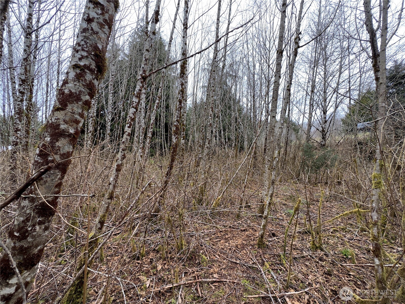 31 Ocean Beach Road Copalis Crossing, WA 98536 - Photo 28 of 30