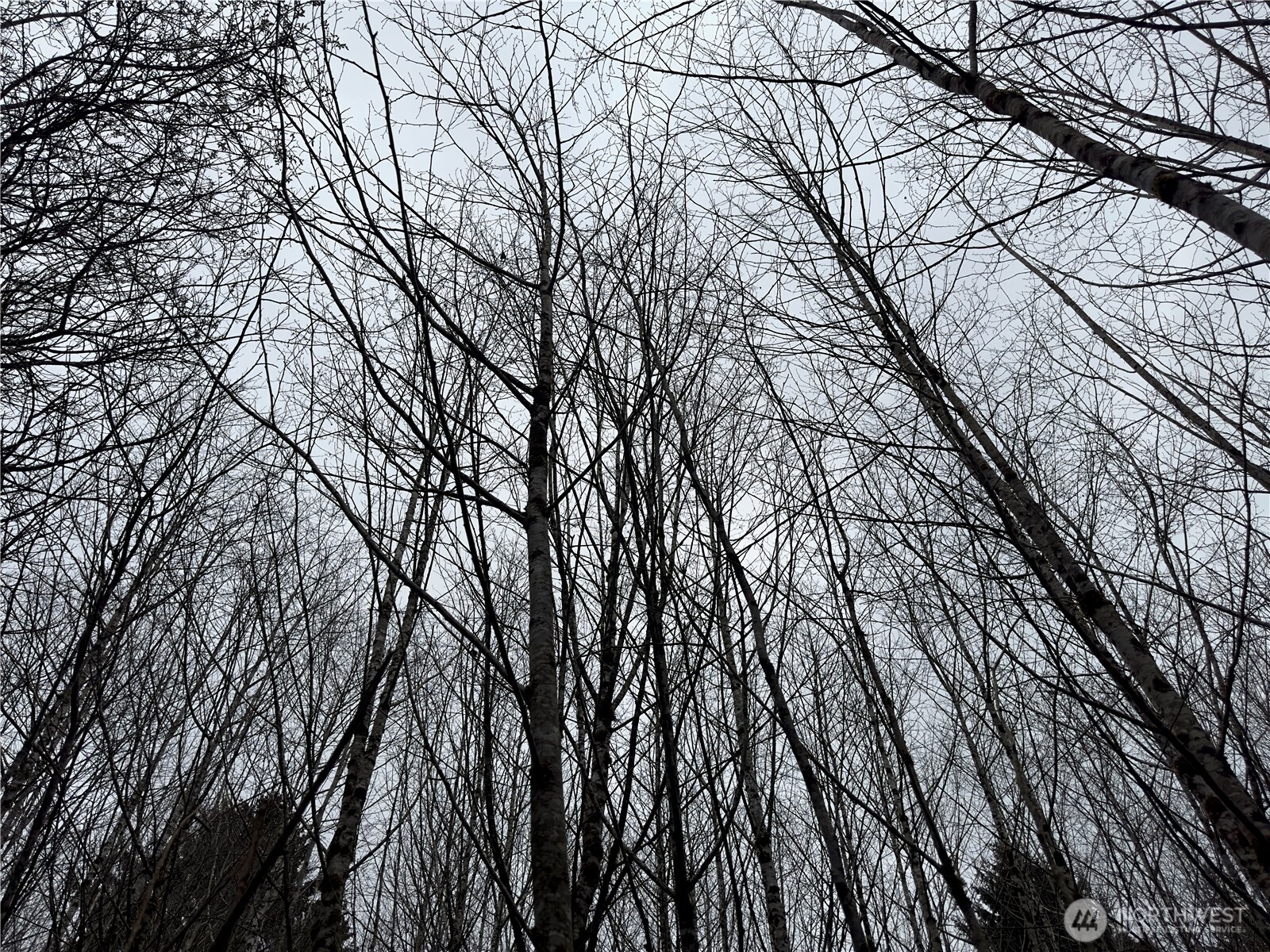 31 Ocean Beach Road Copalis Crossing, WA 98536 - Photo 29 of 30