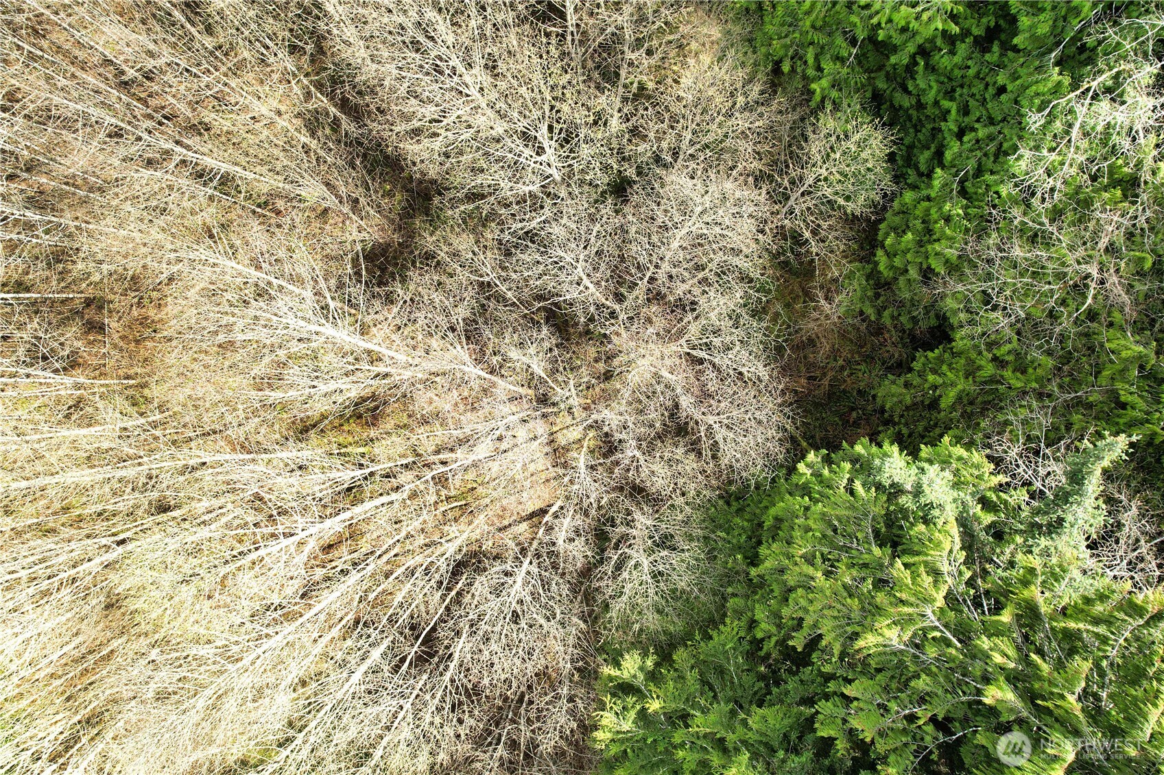 31 Ocean Beach Road Copalis Crossing, WA 98536 - Photo 30 of 30