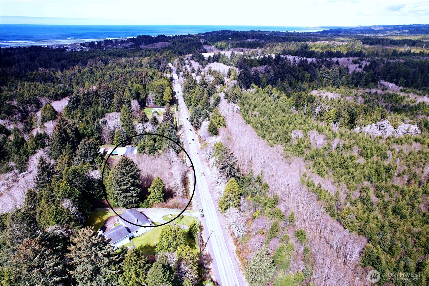 31 Ocean Beach Road Copalis Crossing, WA 98536 - Photo 8 of 30