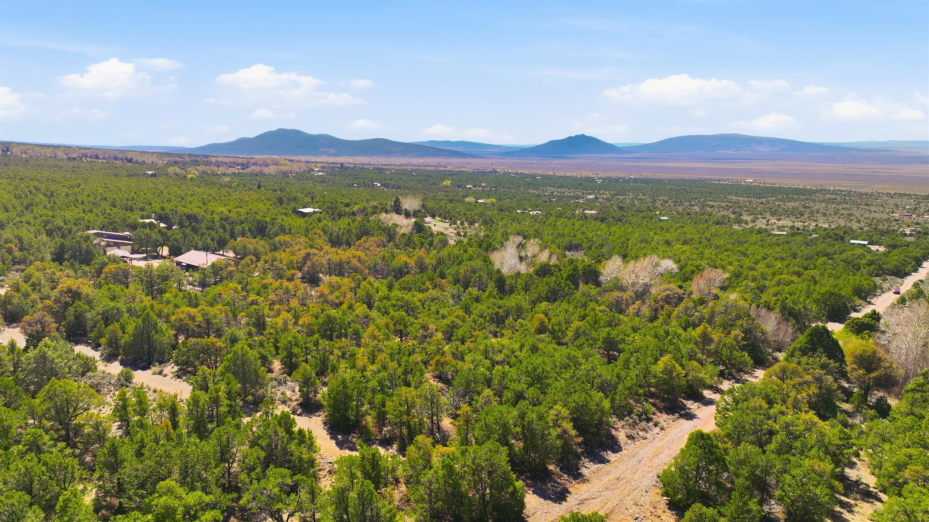 4 Plus Acres Vir Sylvia Road Questa, NM 87556 - Photo 6 of 28 Gallery Image 6