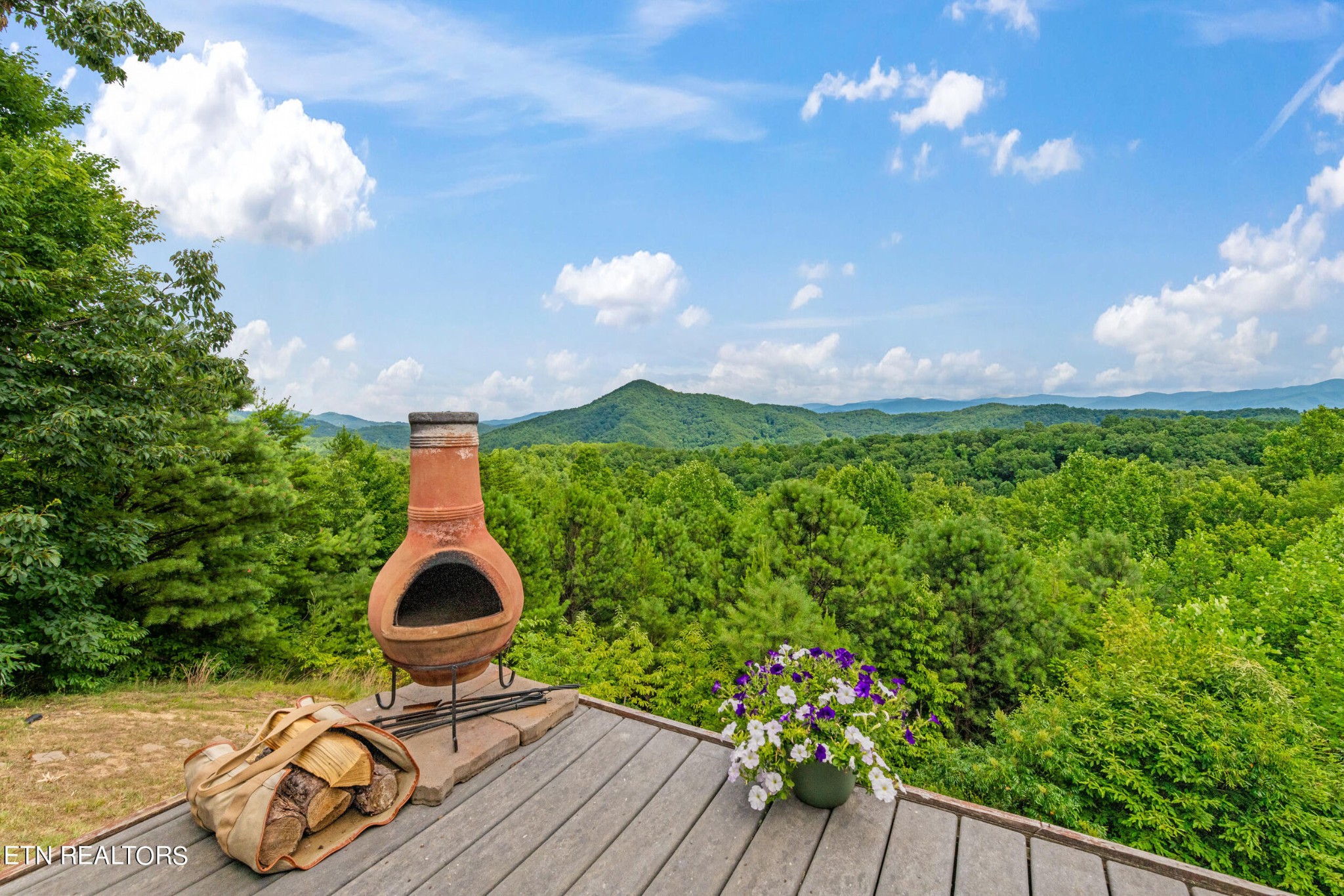 2131 Sky Top Road Walland, TN 37886 - Photo 48 of 60 Gallery Image 48