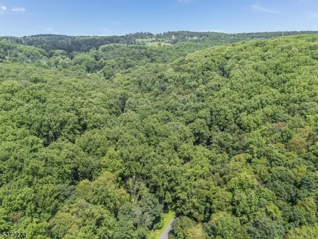 a view of a green field with lots of bushes