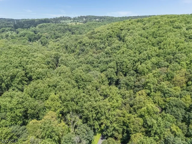 a view of a green field with lots of bushes
