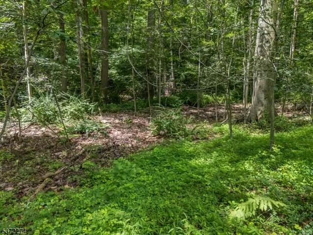 a green field with lots of trees