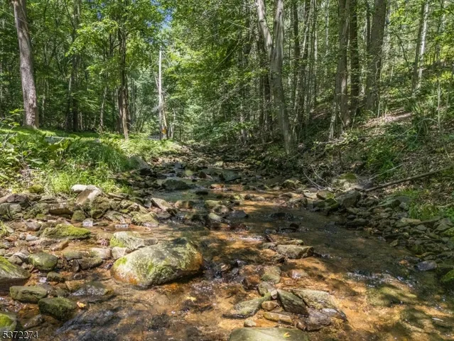 a view of a forest with trees