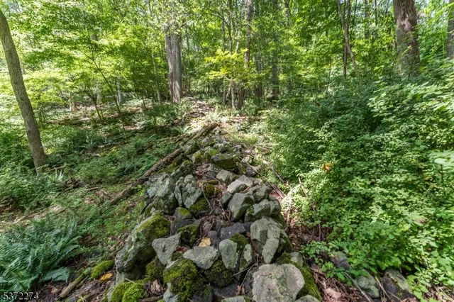 a view of a house with a lush green forest