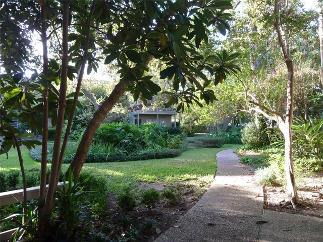 a view of a park with large trees
