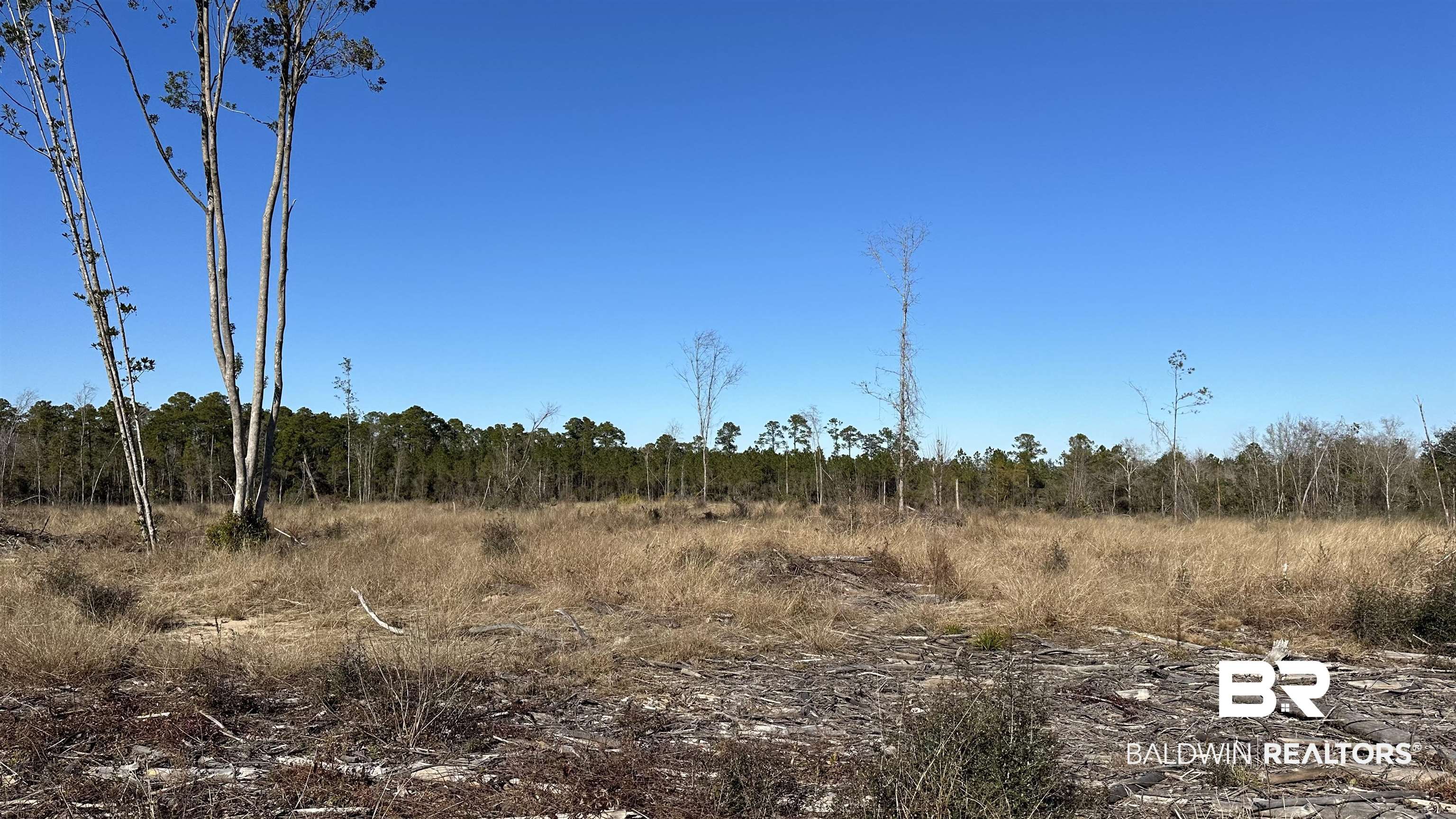 0 Resmondo Road Summerdale, AL 36580 - Photo 1 of 5 View of nature