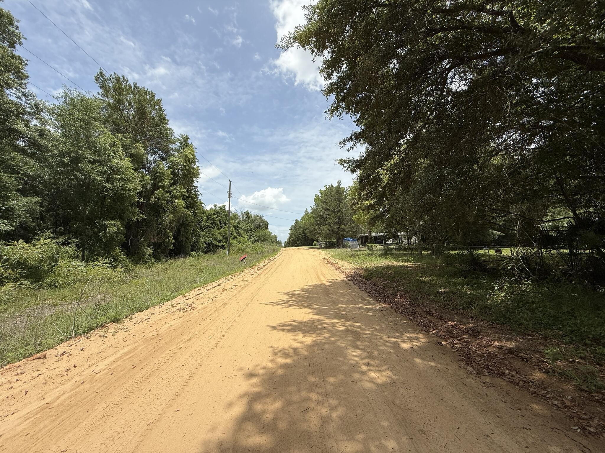 604 Kitty Avenue Interlachen, FL 32148 - Photo 3 of 8 a view of a yard