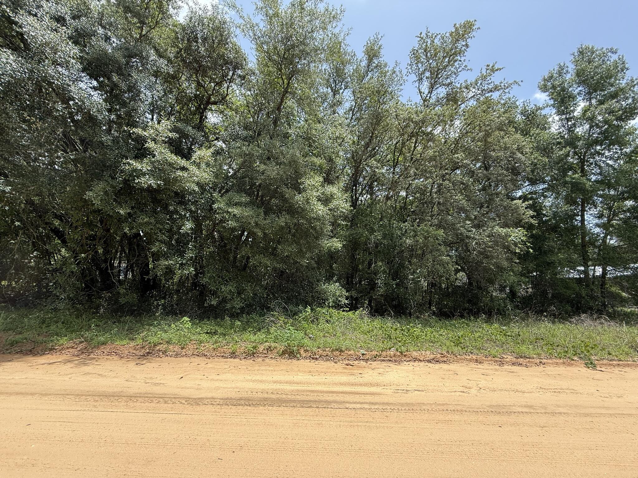 604 Kitty Avenue Interlachen, FL 32148 - Photo 5 of 8 a view of a yard with a house