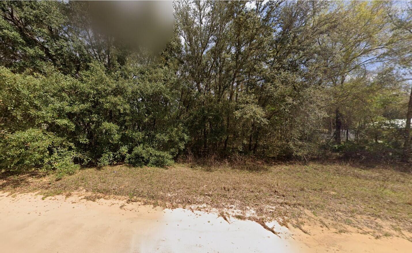 604 Kitty Avenue Interlachen, FL 32148 - Photo 6 of 8 a view of outdoor space and yard