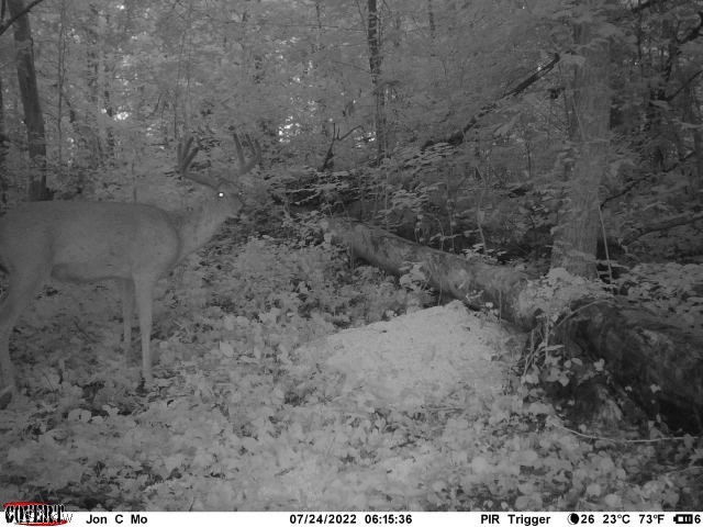 Featherstone Road Stewart, OH 45778 - Photo 30 of 35