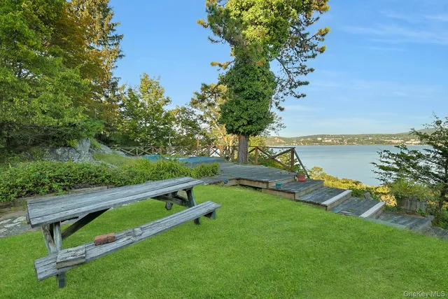 a view of a park with large trees