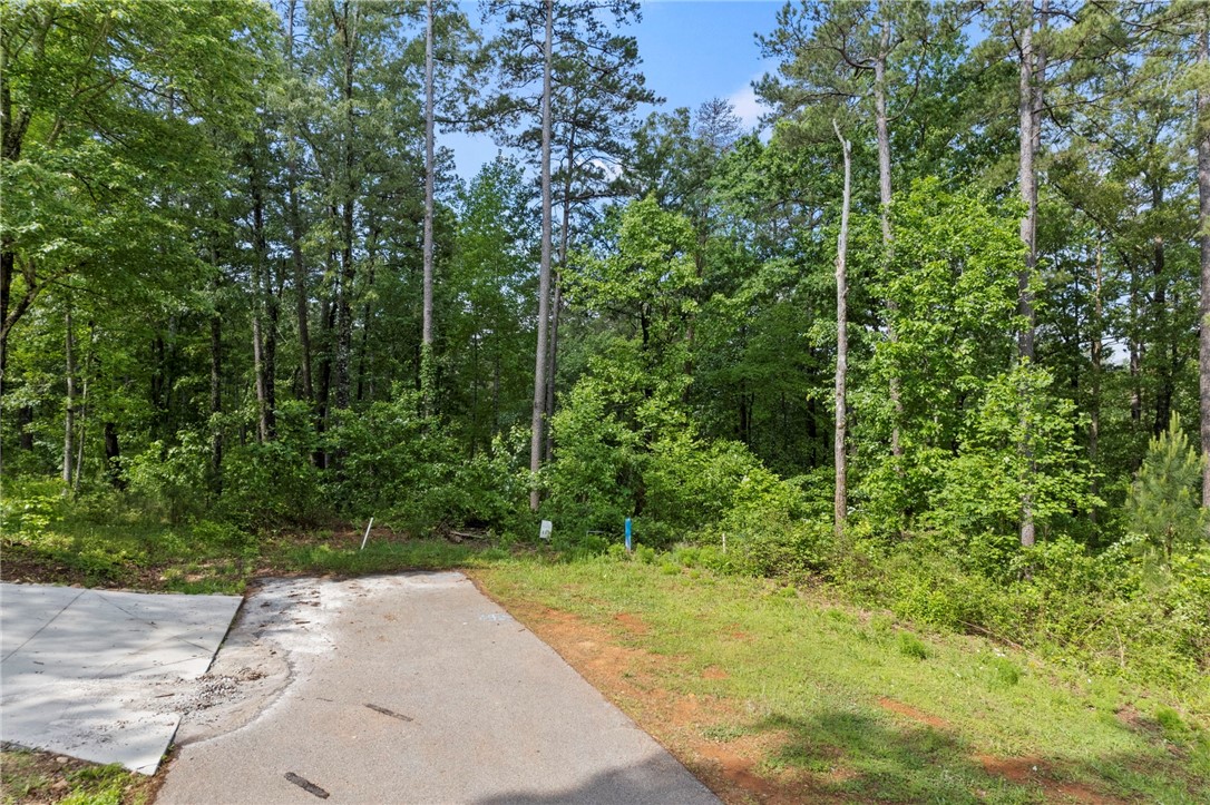 0 Cool Ridge Drive Seneca, SC 29672 - Photo 4 of 13 Gallery Image 4