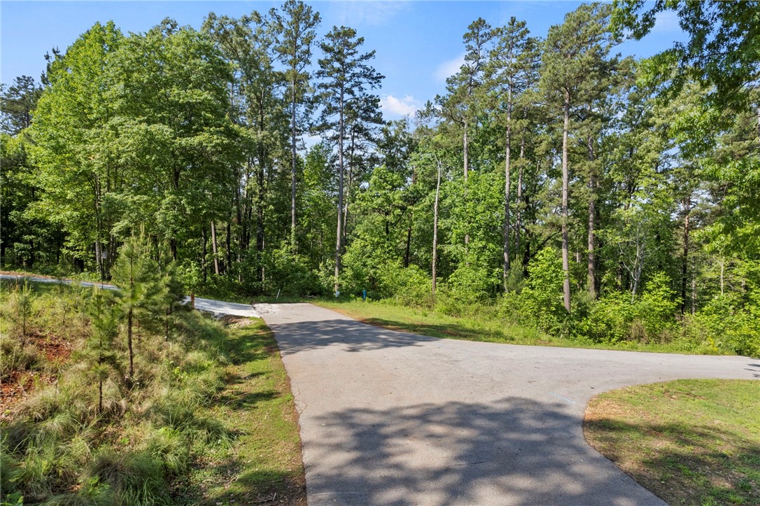 0 Cool Ridge Drive Seneca, SC 29672 - Photo 5 of 13 Gallery Image 5