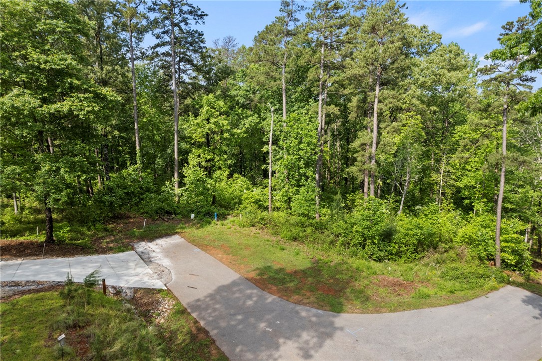 0 Cool Ridge Drive Seneca, SC 29672 - Photo 6 of 13 Gallery Image 6
