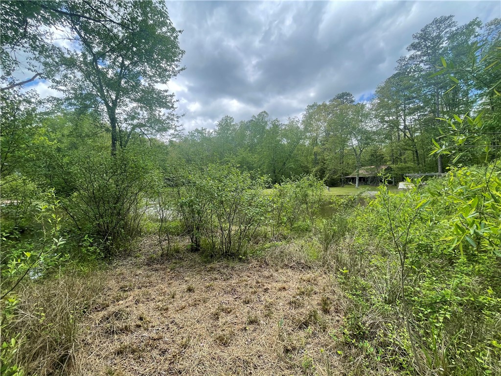 31 A Bonner Road Mountain Rest, SC 29664 - Photo 4 of 28