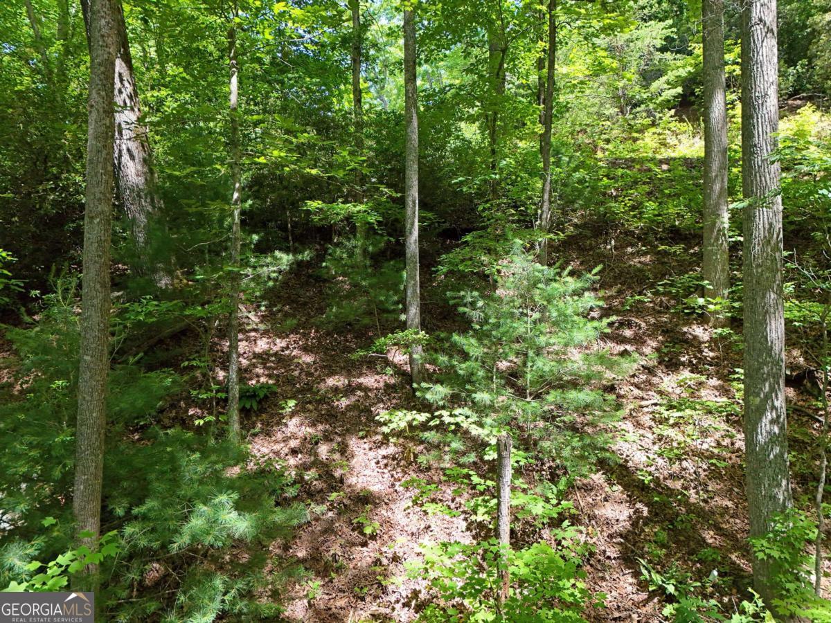 Lot 12 Hightower Ridge Hiawassee, GA 30546 - Photo 5 of 23